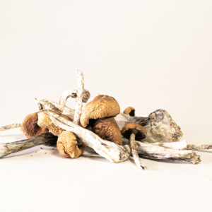 Blue Meanies Mushroom Reddit​